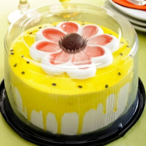 G 50CT PARATORTA PEQUENOUENA             (CX COM050) em Pedra Bela SP