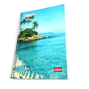 CADERNO  1/4 ESPIR C.FLEX 048F CREDEAL em Pedra Bela SP