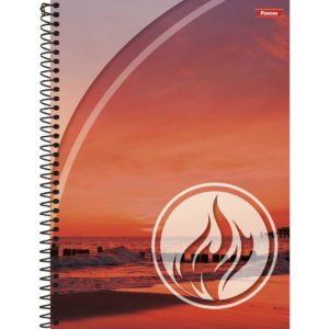 CADERNO ESPIRAL 1/4 CApa DURA QUATRO ELEMENTOS 80FLS  - FORONI em Pedra Bela SP