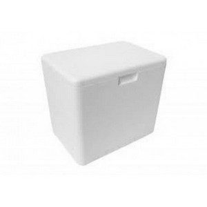 CAIXA DE ISOPOR  02 LTS em Pedra Bela SP