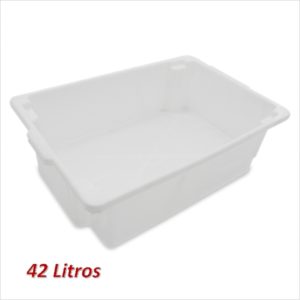 CAIXA FRIGORIFICA 42 LTS  PLASNEW em Pedra Bela SP