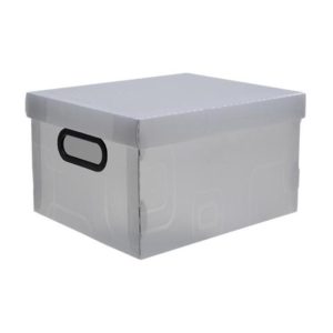 CAIXA ORGANIZ N.2-PEQUENOUE CR DELLO (56105) em Pedra Bela SP