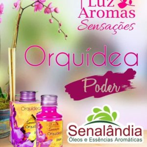 SENALÂNDIA - AROMATIZANTE LUZ E AROMAS ORQUIDEAS 100ML em Pedra Bela SP